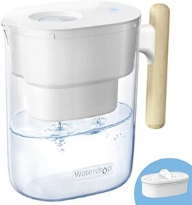 Waterdrop Chubby jarra filtrante con mango de madera